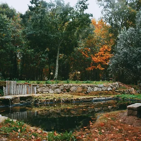 Quinta Das Fontes - Alojamento Rustico Local E Turismo Rural São Pedro do Sul Exterior foto
