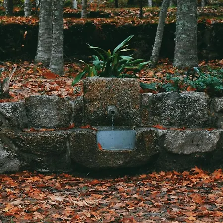 Quinta Das Fontes - Alojamento Rustico Local E Turismo Rural São Pedro do Sul Exterior foto