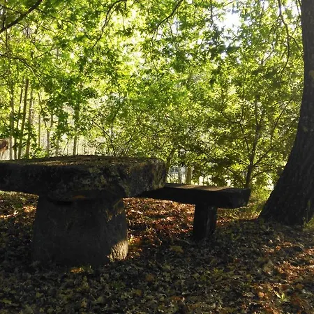 Quinta Das Fontes - Alojamento Rustico Local E Turismo Rural São Pedro do Sul Exterior foto