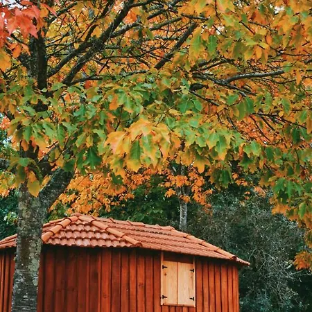 Quinta Das Fontes - Alojamento Rustico Local E Turismo Rural São Pedro do Sul Exterior foto