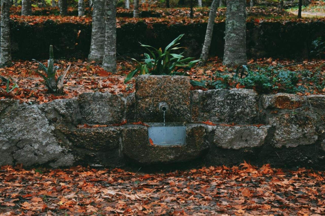 Quinta Fontes - Rustico Local E