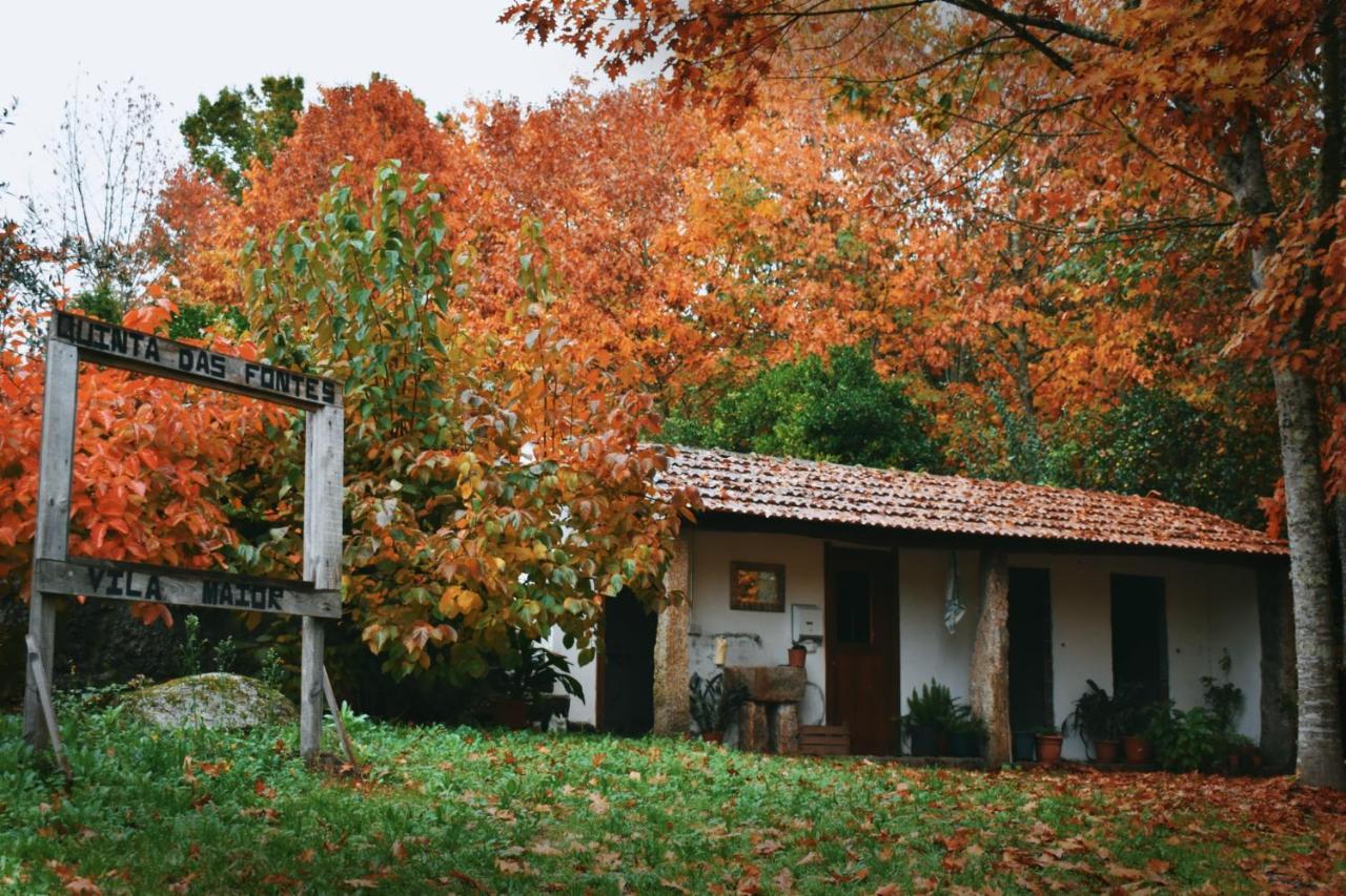 Quinta Fontes - Rustico Local E Sao Pedro do Sul