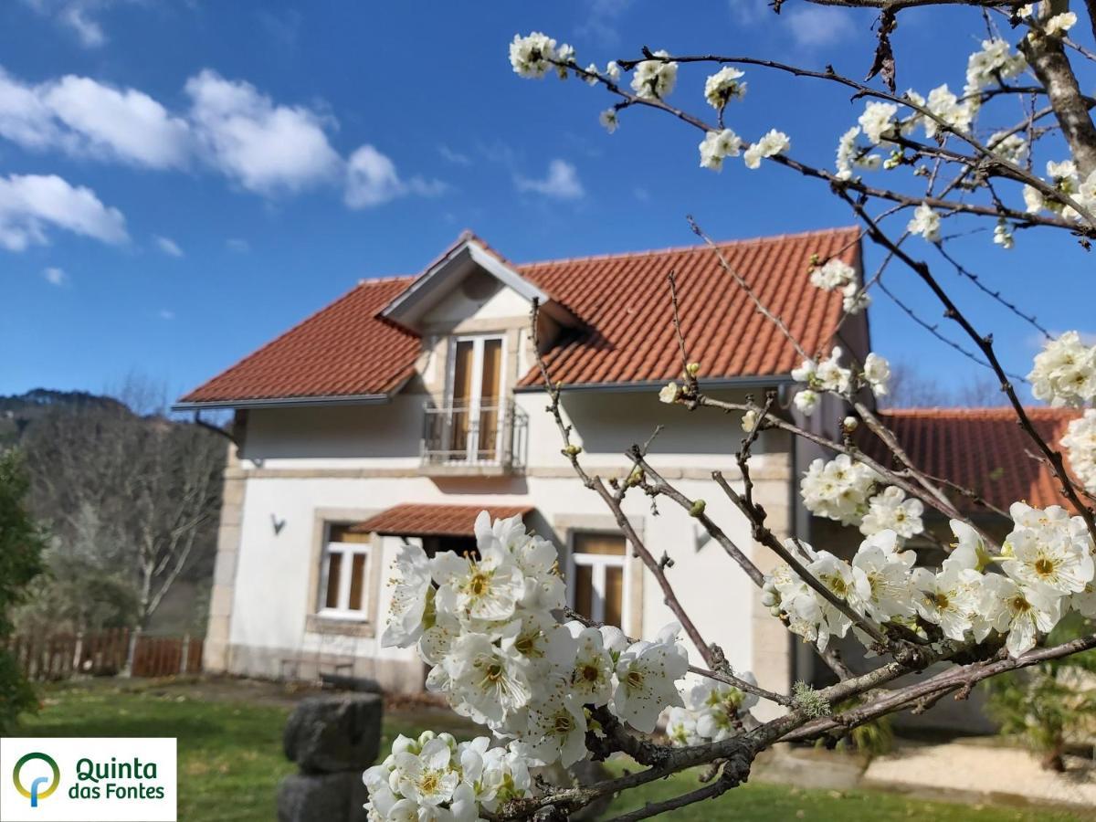 Quinta Fontes - Rustico Local E Holiday home *