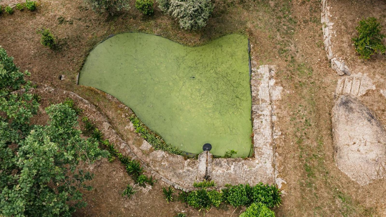 Quinta Fontes - Rustico Local E * Sao Pedro do Sul