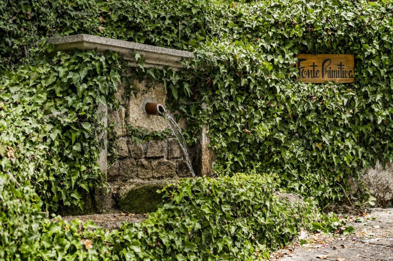 Quinta Fontes - Rustico Local E