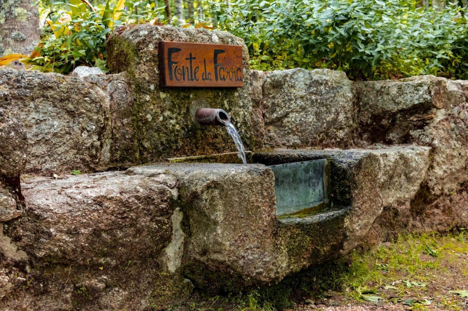 Quinta Fontes - Rustico Local E Holiday home